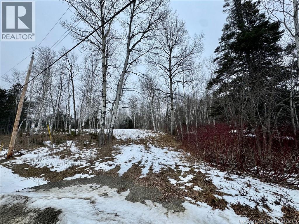 307 Doyleville Road, Lorne, New Brunswick  E8G 1H3 - Photo 3 - NB139109