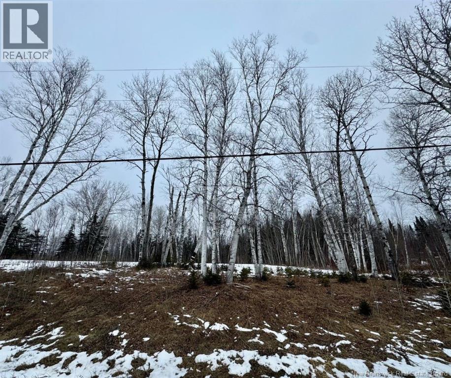 307 Doyleville Road, Lorne, New Brunswick  E8G 1H3 - Photo 4 - NB139109