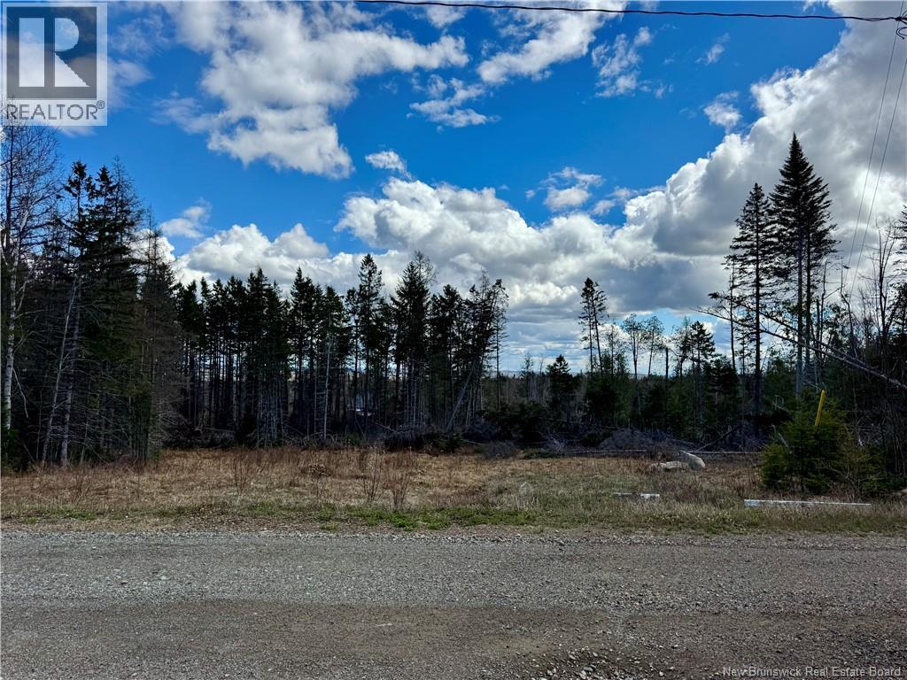 Lot Slopeside Lane, Central Hainesville, New Brunswick