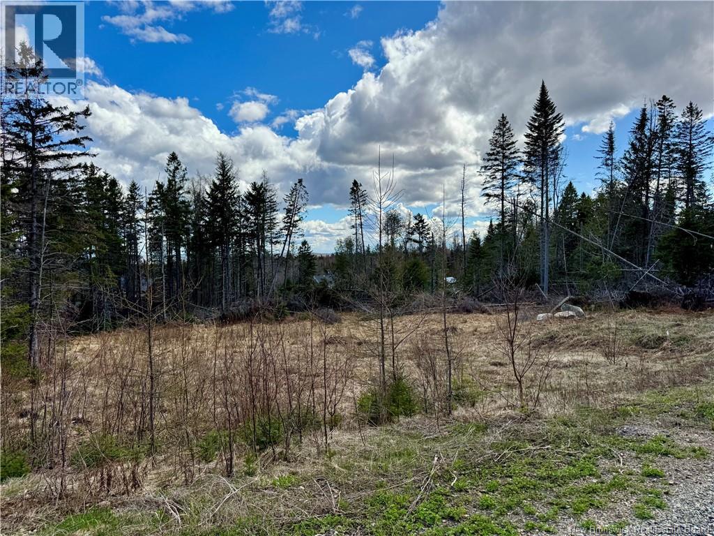Lot Slopeside Lane, Central Hainesville, New Brunswick  E6E 1E3 - Photo 2 - NB139065