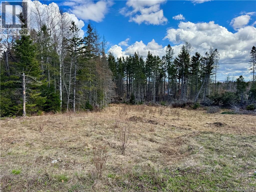 Lot Slopeside Lane, Central Hainesville, New Brunswick  E6E 1E3 - Photo 3 - NB139065