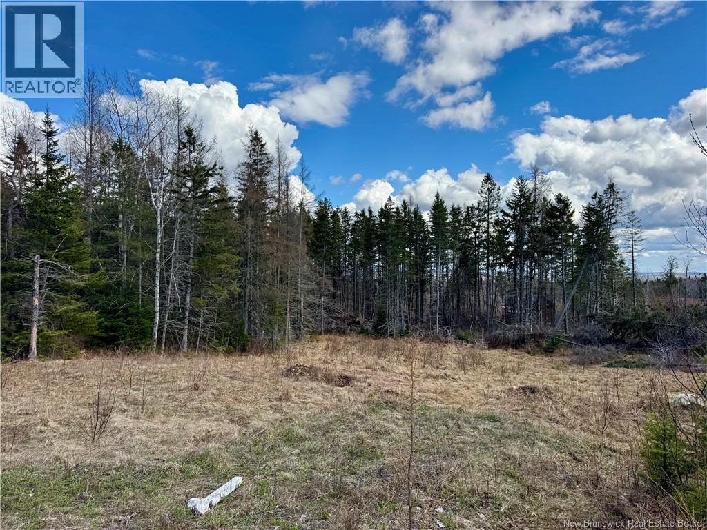 Lot Slopeside Lane, Central Hainesville, New Brunswick  E6E 1E3 - Photo 4 - NB139065