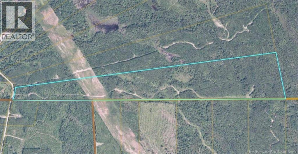 Lot Belledune Road, Belledune, New Brunswick  E8G 1Z5 - Photo 5 - NB138967