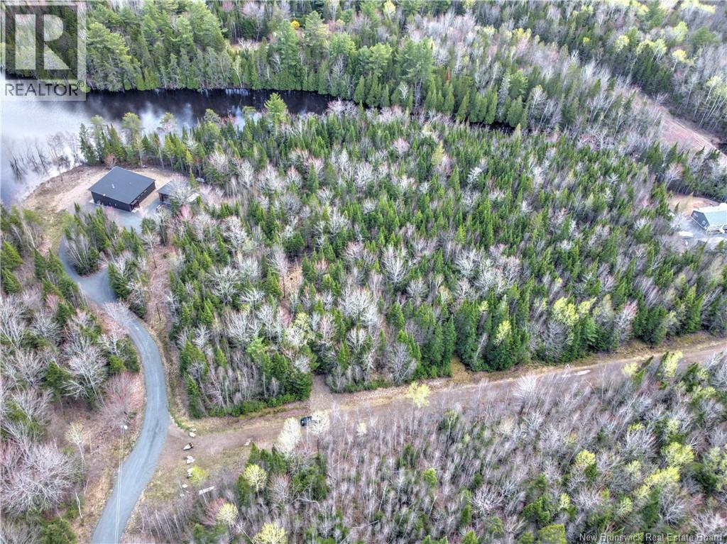 Lot 13 Route 690 Street, Flowers Cove, New Brunswick  E4B 4B3 - Photo 10 - NB139214