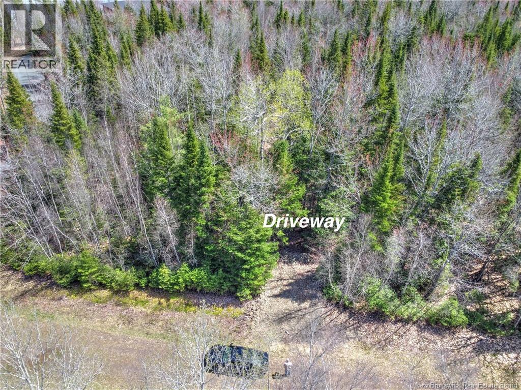 Lot 13 Route 690 Street, Flowers Cove, New Brunswick  E4B 4B3 - Photo 2 - NB139214