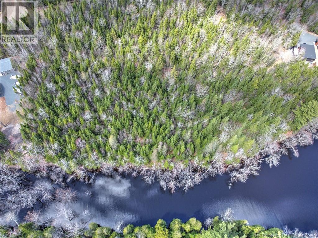Lot 13 Route 690 Street, Flowers Cove, New Brunswick  E4B 4B3 - Photo 8 - NB139214