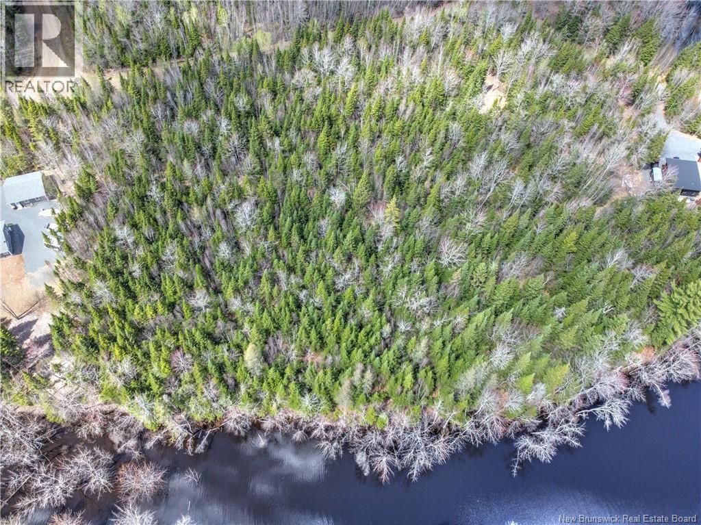 Lot 13 Route 690 Street, Flowers Cove, New Brunswick  E4B 4B3 - Photo 9 - NB139214
