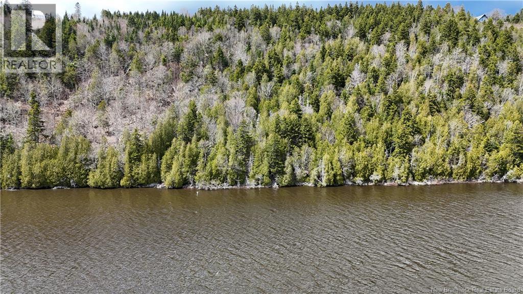 Route 845, Clifton Royal, New Brunswick  E5S 2H3 - Photo 4 - NB139242