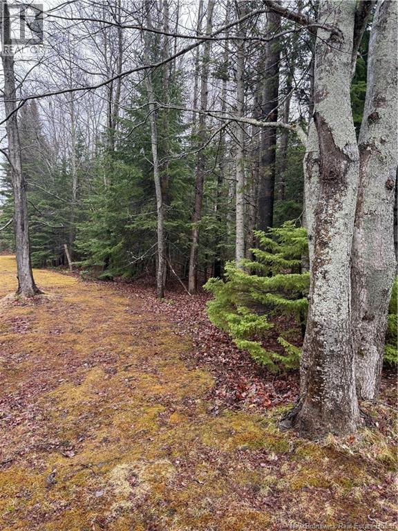 Lot 98-2 Dundas Road, Grande-Digue, New Brunswick  E4R 4L5 - Photo 2 - NB139207