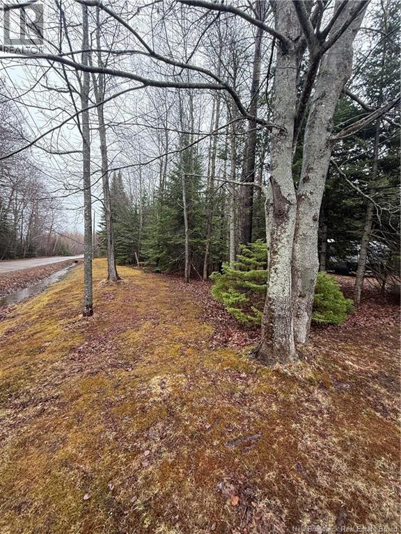 Lot 98-2 Dundas Road, Grande-Digue, New Brunswick  E4R 4L5 - Photo 3 - NB139207