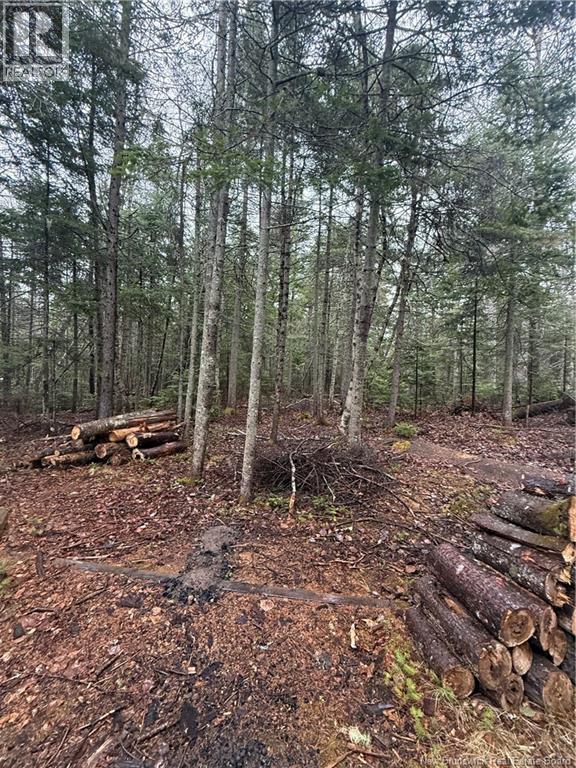 Lot 98-2 Dundas Road, Grande-Digue, New Brunswick  E4R 4L5 - Photo 5 - NB139207