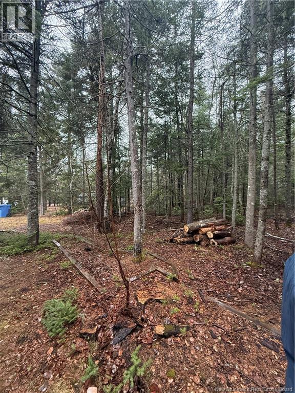 Lot 98-2 Dundas Road, Grande-Digue, New Brunswick  E4R 4L5 - Photo 7 - NB139207