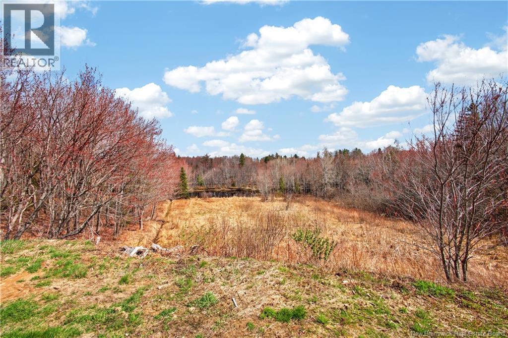 450 Eel River Road, Baie-Sainte-Anne, New Brunswick  E9A 1M8 - Photo 50 - NB139251