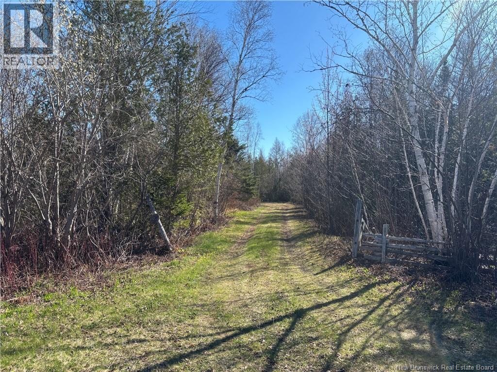 11.98 Acres Chemin Tremblay, Tremblay, New Brunswick