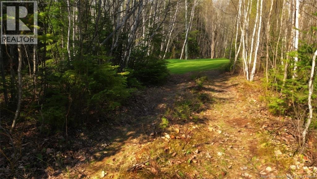 Lot Route 126, Harcourt, New Brunswick  E4T 2Z5 - Photo 2 - NB139407