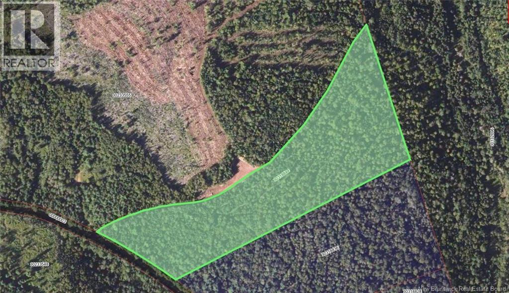 Lot Upper Goshen Road, Goshen, New Brunswick  E4Z 0C4 - Photo 17 - NB139376