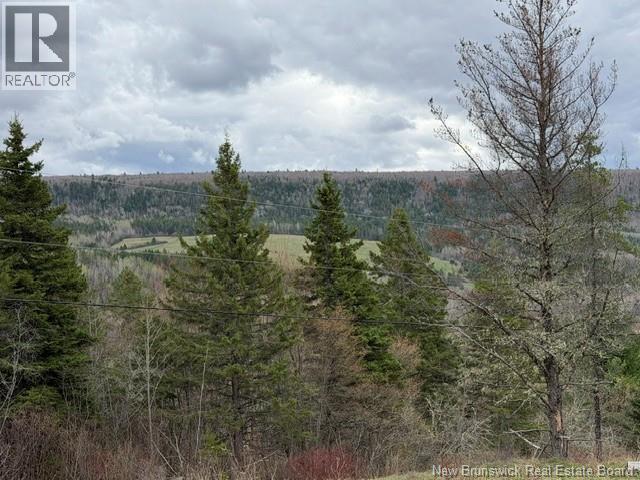 Lot Turkey Trail, Elgin, New Brunswick E4Z 2K1 - Photo 10 - NB138109
