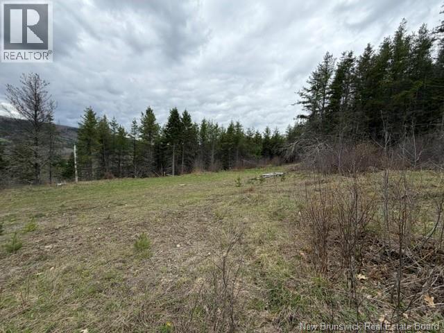 Lot Turkey Trail, Elgin, New Brunswick E4Z 2K1 - Photo 11 - NB138109