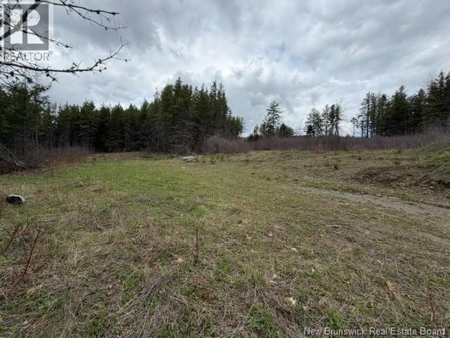Lot Turkey Trail, Elgin, New Brunswick E4Z 2K1 - Photo 13 - NB138109