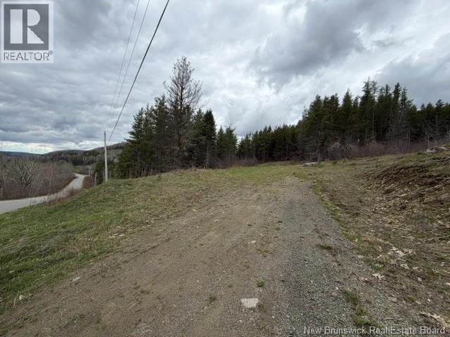Lot Turkey Trail, Elgin, New Brunswick E4Z 2K1 - Photo 15 - NB138109
