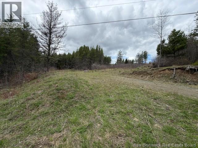 Lot Turkey Trail, Elgin, New Brunswick E4Z 2K1 - Photo 3 - NB138109