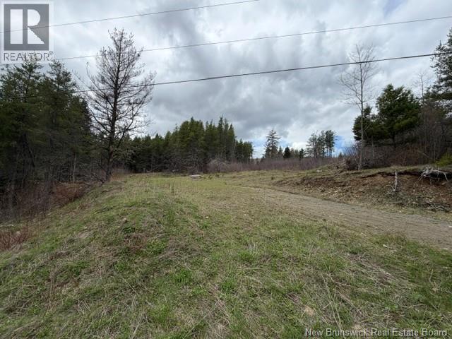 Lot Turkey Trail, Elgin, New Brunswick E4Z 2K1 - Photo 4 - NB138109