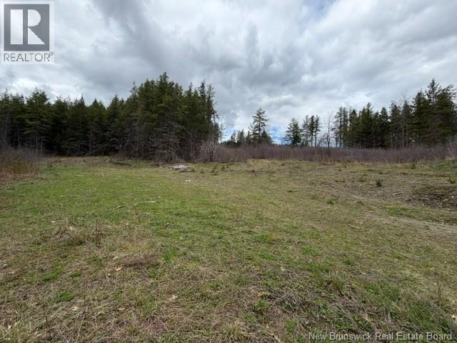 Lot Turkey Trail, Elgin, New Brunswick E4Z 2K1 - Photo 6 - NB138109