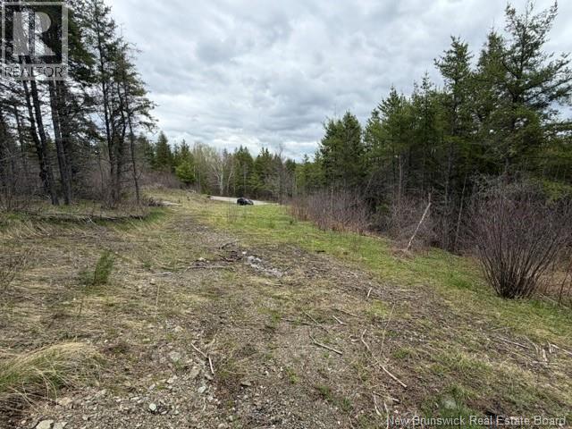 Lot Turkey Trail, Elgin, New Brunswick E4Z 2K1 - Photo 8 - NB138109