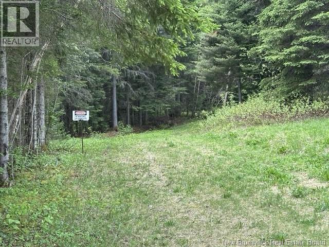 35 Ch Rang 7 Et 8, Kedgwick, New Brunswick  E8B 1V8 - Photo 12 - NB139262