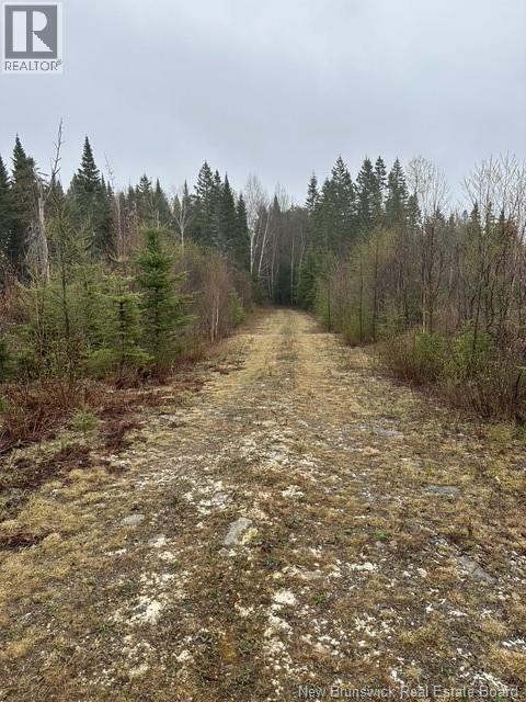 35 Ch Rang 7 Et 8, Kedgwick, New Brunswick  E8B 1V8 - Photo 26 - NB139262