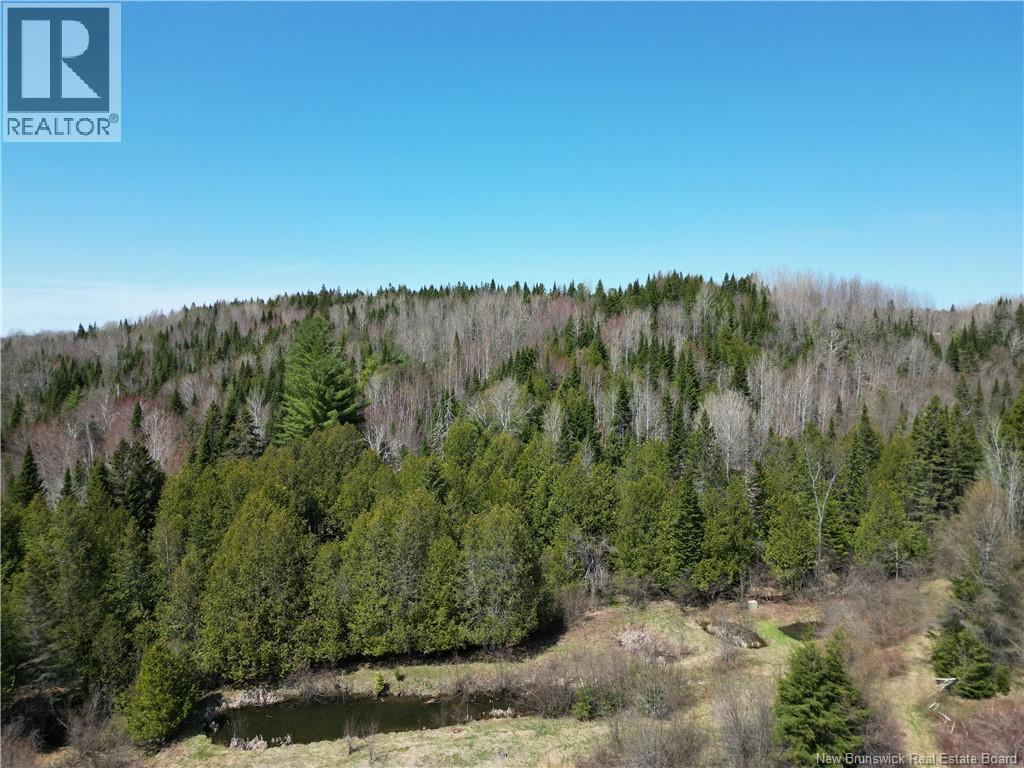 219 Churchland Road, Tilley, New Brunswick  E7H 1S7 - Photo 15 - NB139391
