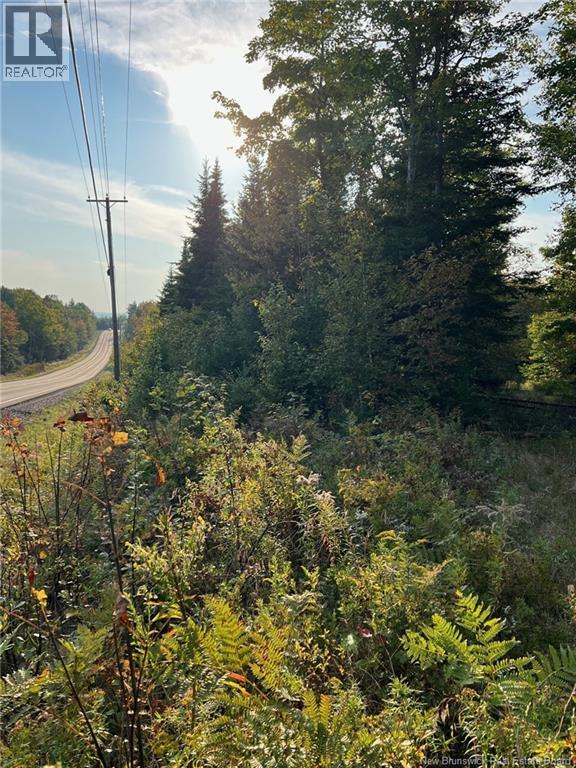 Lot 24-2 Route 3, Harvey, New Brunswick  E6K 1T3 - Photo 2 - NB139542