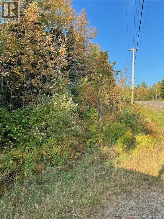 Lot 24-2 Route 3, Harvey, New Brunswick  E6K 1T3 - Photo 3 - NB139542