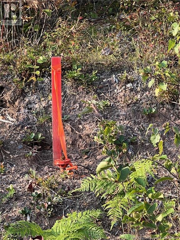 Lot 24-2 Route 3, Harvey, New Brunswick  E6K 1T3 - Photo 5 - NB139542