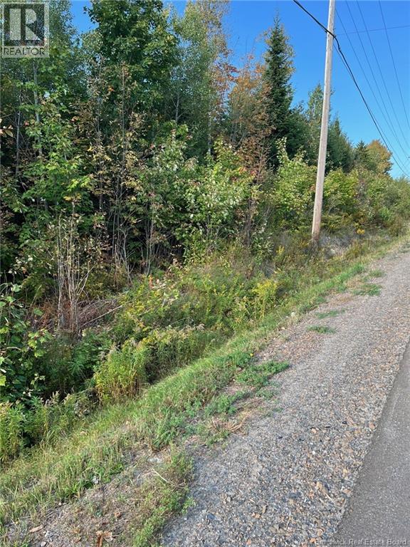 Lot 24-2 Route 3, Harvey, New Brunswick  E6K 1T3 - Photo 7 - NB139542