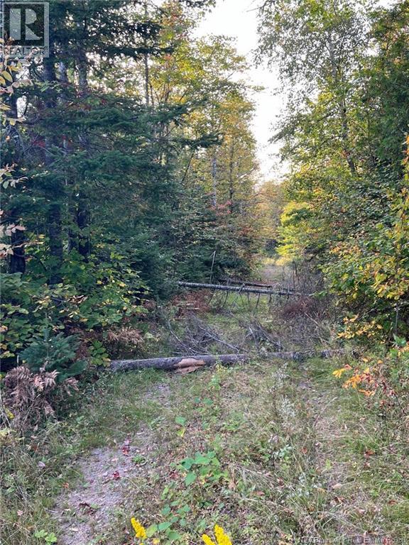 Lot 24-1 Route 3, Harvey, New Brunswick  E6K 1T3 - Photo 3 - NB139541