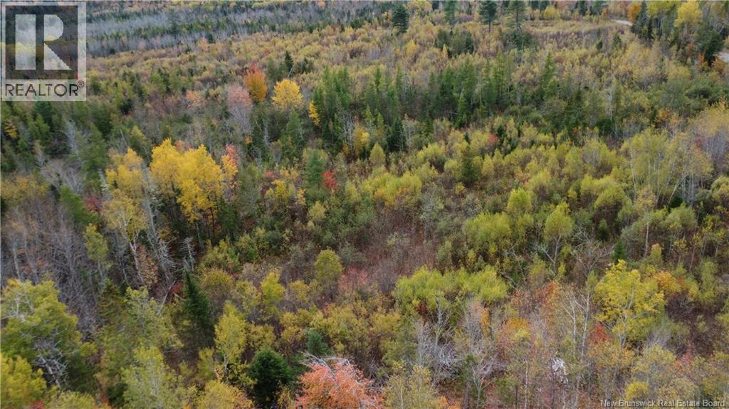 339 Mcminn Road, Rollingdam, New Brunswick  E5A 1B2 - Photo 7 - NB139539