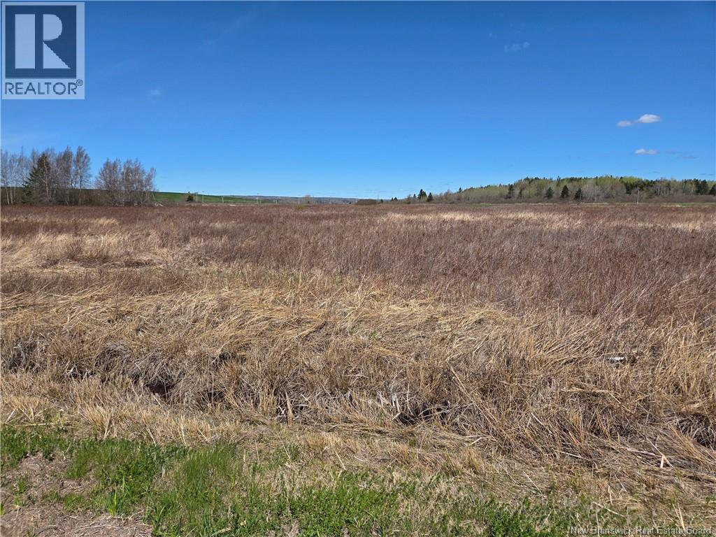 Lot Anderson Mill Road, Memramcook, New Brunswick  E4K 3Z2 - Photo 2 - NB139521