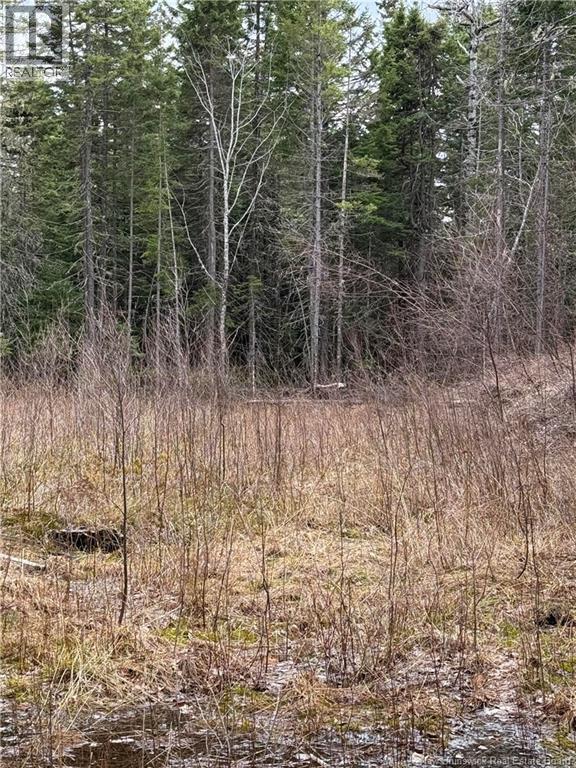 Land Route 515, Saint-Paul, New Brunswick  E4T 3T5 - Photo 3 - NB139529