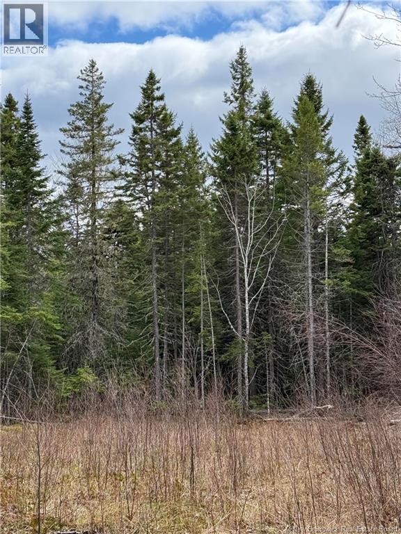 Land Route 515, Saint-Paul, New Brunswick  E4T 3T5 - Photo 7 - NB139529