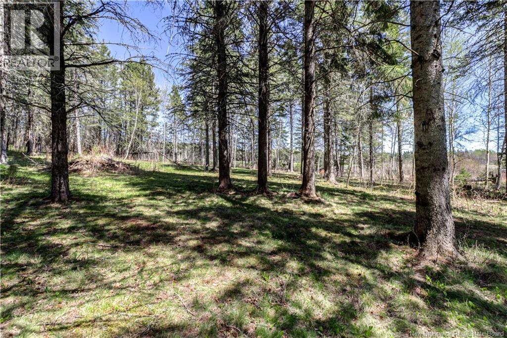 243 Plumweseep Cross Road, Plumweseep, New Brunswick  E4G 1X2 - Photo 10 - NB139611