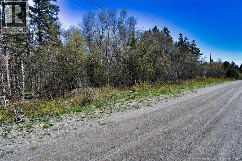 86-39 & 86-40 Mitchell Court, Welshpool, New Brunswick E5E 1H6 - Photo 12 - NB137024