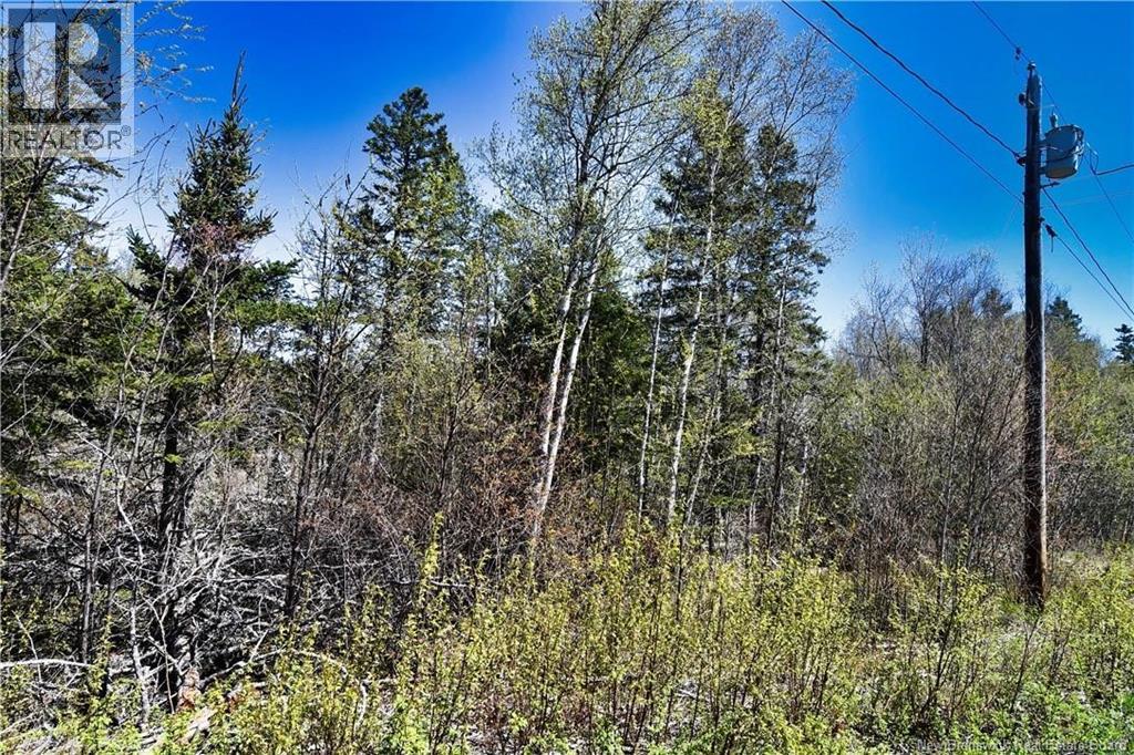 86-39 & 86-40 Mitchell Court, Welshpool, New Brunswick E5E 1H6 - Photo 15 - NB137024