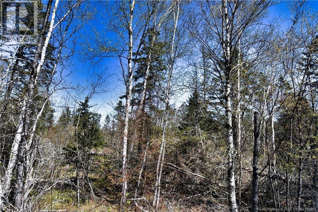 86-39 & 86-40 Mitchell Court, Welshpool, New Brunswick E5E 1H6 - Photo 16 - NB137024
