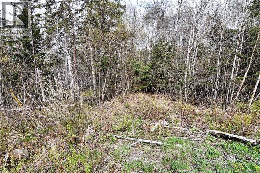 86-39 & 86-40 Mitchell Court, Welshpool, New Brunswick E5E 1H6 - Photo 20 - NB137024