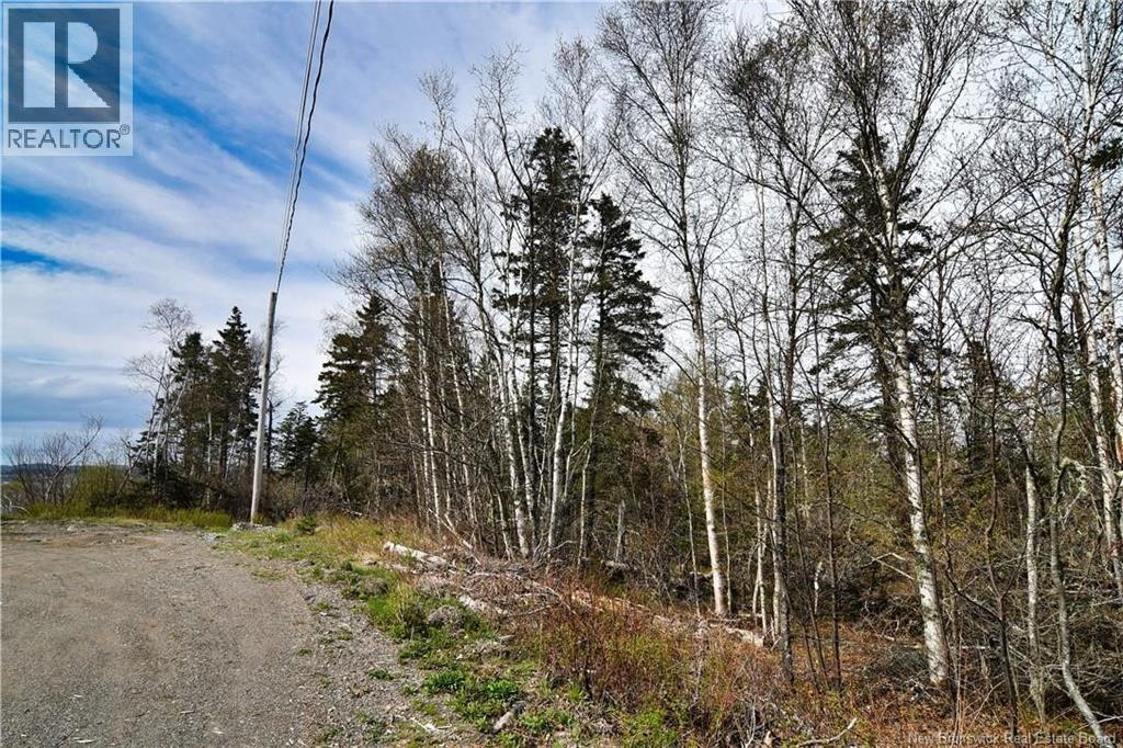 86-39 & 86-40 Mitchell Court, Welshpool, New Brunswick E5E 1H6 - Photo 21 - NB137024