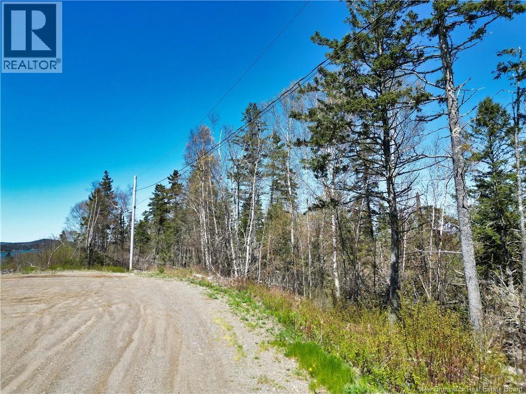 86-39 & 86-40 Mitchell Court, Welshpool, New Brunswick E5E 1H6 - Photo 6 - NB137024