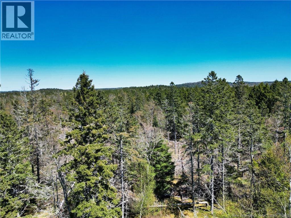 86-39 & 86-40 Mitchell Court, Welshpool, New Brunswick E5E 1H6 - Photo 9 - NB137024