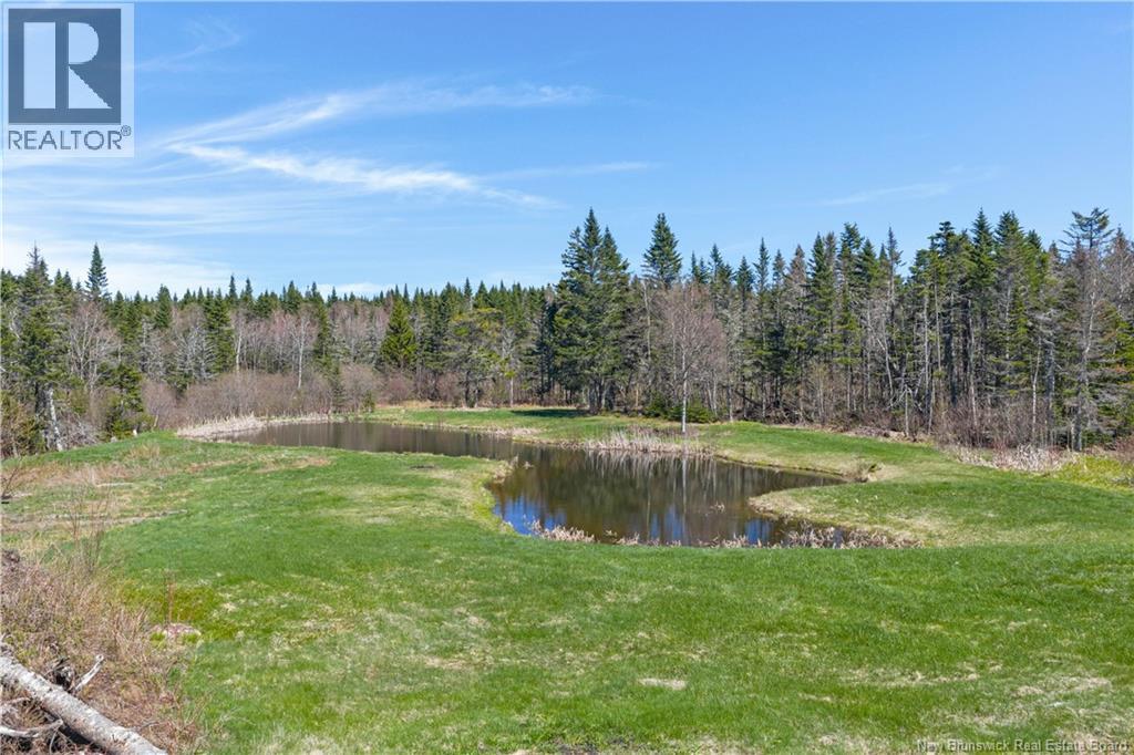 235 Mcarthur Road, Wards Creek, New Brunswick  E4E 3G4 - Photo 39 - NB139363