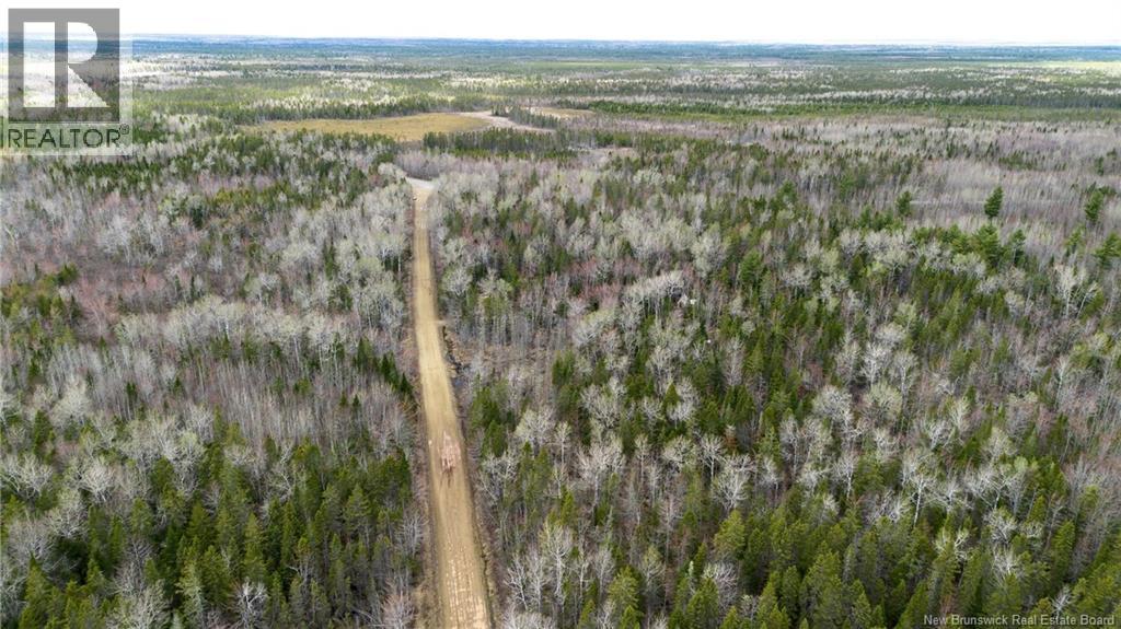 Lot Chemin Gallant, Saint-Ignace, New Brunswick  E4X 2E3 - Photo 2 - NB139662